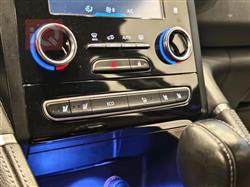 رینۆ کۆلیۆس